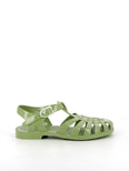 Sun Olive